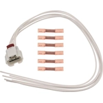 Order Connector by BLUE STREAK (HYGRADE MOTOR) - S2506 For Your Vehicle