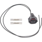 Order Connector by BLUE STREAK (HYGRADE MOTOR) - S2812 For Your Vehicle