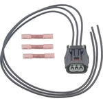 Order Connector by BLUE STREAK (HYGRADE MOTOR) - S2865 For Your Vehicle
