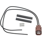 Order BLUE STREAK (HYGRADE MOTOR) - S2969 - Electrical Connector For Your Vehicle