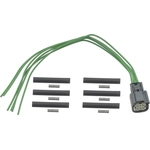 Order Connector by BLUE STREAK (HYGRADE MOTOR) - S3056 For Your Vehicle