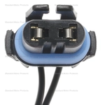 Order Connector by BLUE STREAK (HYGRADE MOTOR) - HP3970 For Your Vehicle