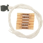 Order Connector by BLUE STREAK (HYGRADE MOTOR) - S1667 For Your Vehicle