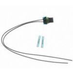 Order Connector by BLUE STREAK (HYGRADE MOTOR) - S1819 For Your Vehicle