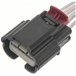 Order Connector by BLUE STREAK (HYGRADE MOTOR) - S2398 For Your Vehicle