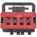 Order Connector by BLUE STREAK (HYGRADE MOTOR) - S2406 For Your Vehicle