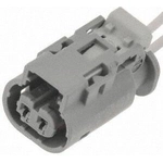 Order Connector by BLUE STREAK (HYGRADE MOTOR) - S2502 For Your Vehicle