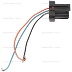 Order Connector by BLUE STREAK (HYGRADE MOTOR) - S613 For Your Vehicle