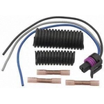 Order Connector by BLUE STREAK (HYGRADE MOTOR) - S619K For Your Vehicle