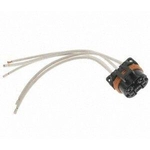 Order Connector by BLUE STREAK (HYGRADE MOTOR) - S742 For Your Vehicle