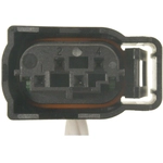 Order Connector by BWD AUTOMOTIVE - PT1212 For Your Vehicle
