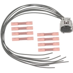 Order BWD AUTOMOTIVE - PT2801 - Vapor Canister Connector For Your Vehicle