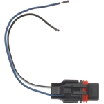 Order BWD AUTOMOTIVE - PT343 - Fog Light Connector For Your Vehicle