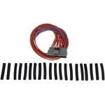 Order Connector by DORMAN/TECHOICE - 645-206 For Your Vehicle