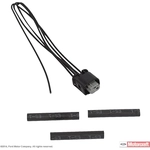 Order Connector by MOTORCRAFT - WPT1100 For Your Vehicle