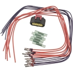 Order STANDARD - PRO SERIES - S2082 - Neutral Safety Switch Connector For Your Vehicle