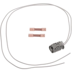 Order STANDARD - PRO SERIES - S2502 - HVAC Blower Motor Resistor Connector For Your Vehicle