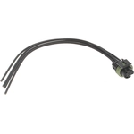 Order STANDARD - PRO SERIES - S638 - Engine Coolant Temperature Switch Connecteur For Your Vehicle