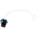 Order STANDARD - PRO SERIES - S689 - Idle Air Control Valve Connector For Your Vehicle