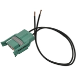 Order STANDARD - PRO SERIES - S695 - License Lamp Connector For Your Vehicle