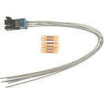 Order BLUE STREAK (HYGRADE MOTOR) - S1200 - Connecteur de console For Your Vehicle