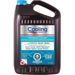 Order RECOCHEM INC. - 36-184BHUSI - Coolant - Antifreeze 3.78L (Pack of 4) For Your Vehicle