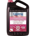 Order RECOCHEM INC. - 36-184PTUSI - Coolant - Antifreeze 3.78L (Pack of 4) For Your Vehicle
