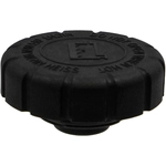 Order Coolant Recovery Tank Cap by CRP/REIN - CPE0028P For Your Vehicle