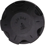 Order Coolant Recovery Tank Cap by CRP/REIN - CPE0034 For Your Vehicle