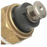 Order Coolant Temperature Sending Switch by BLUE STREAK (HYGRADE MOTOR) - TS89 For Your Vehicle