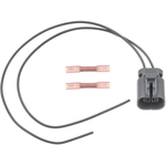 Order BLUE STREAK (HYGRADE MOTOR) - S2884 - Electrical Connector For Your Vehicle
