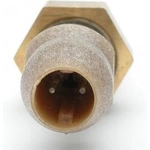 Order Coolant Temperature Sensor by DELPHI - TS10193 For Your Vehicle