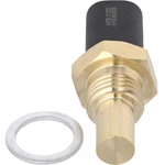 Order HOLSTEIN - 2CTS0034 - Temperature Sensor For Your Vehicle