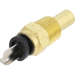 Order HOLSTEIN - 2CTS0072 - Coolant Temperature Sensor For Your Vehicle