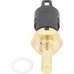 Order HOLSTEIN - 2CTS0098 - Engine Coolant Temperature Sensor For Your Vehicle