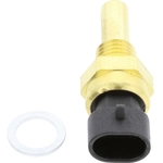 Order HOLSTEIN - 2CTS0318 - Engine Coolant Temperature Sensor For Your Vehicle