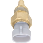 Order HOLSTEIN - 2CTS0327 - Temperature Sensor For Your Vehicle