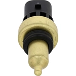Order HOLSTEIN - 2CTS0364 - Coolant Temperature Sensor For Your Vehicle