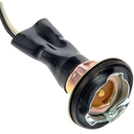 Order DORMAN - 85862 - Multi-Purpose Light Socket For Your Vehicle