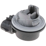 Order Cornering Light Socket by DORMAN/CONDUCT-TITE - 84761 For Your Vehicle
