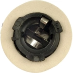 Order Cornering Light Socket by DORMAN/CONDUCT-TITE - 85830 For Your Vehicle
