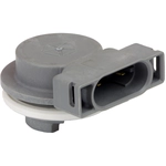 Order STANDARD - PRO SERIES - S2353 - Turn Signal Light Socket For Your Vehicle