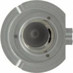 Order Cornering Light by SYLVANIA - H7.BX For Your Vehicle