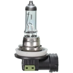 Order Cornering Light by WAGNER - BPH11TVX2 For Your Vehicle