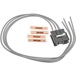 Order Courtesy Lamp Connector by BWD AUTOMOTIVE - PT1098 For Your Vehicle