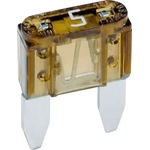 Order Courtesy Light Fuse by BUSSMANN - BP/ATM5RP For Your Vehicle