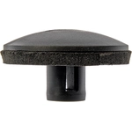 Order DORMAN - 700-881 - Air Inlet Grill Retainer For Your Vehicle