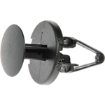 Order DORMAN/AUTOGRADE - 700-049 - Drive Type Rivet For Your Vehicle