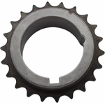 Order Crank Gear by CLOYES GEAR INC - S1120 For Your Vehicle