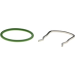 Order Crankcase Vent Hose by VAICO - V10-4804 For Your Vehicle